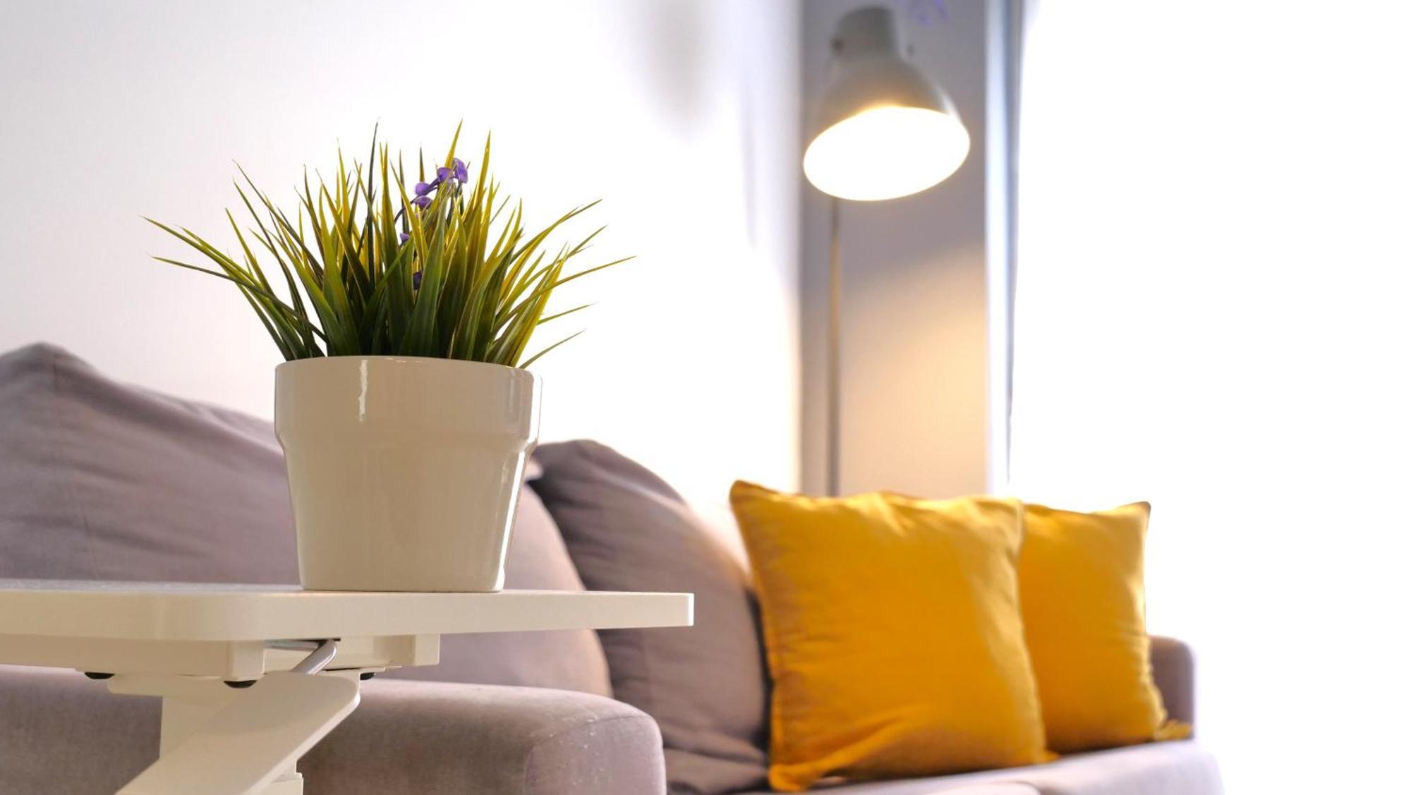 شقة Myflats Old Corner لقنت المظهر الخارجي الصورة